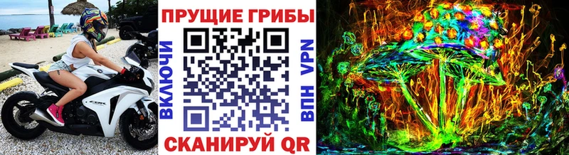 Купить где  Свирск  Галлюциногенные грибы MAGIC MUSHROOMS 